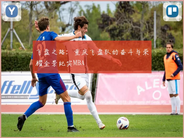 飞盘之路：重庆飞盘队的奋斗与荣耀全景纪实MBA