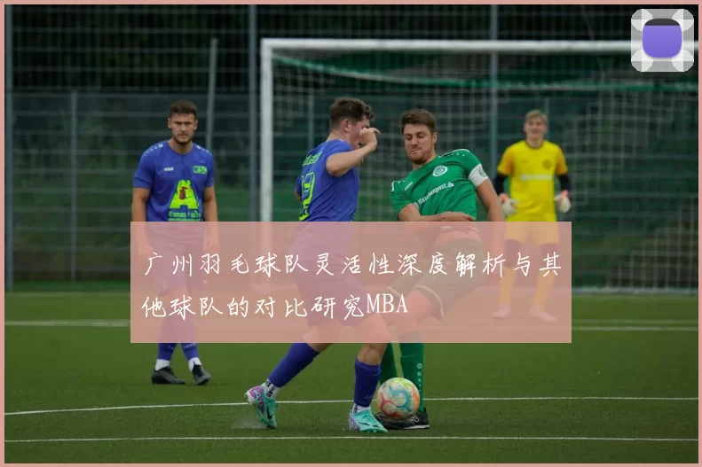 广州羽毛球队灵活性深度解析与其他球队的对比研究MBA