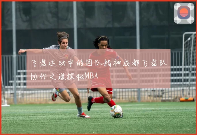 飞盘运动中的团队精神成都飞盘队协作之道探秘MBA