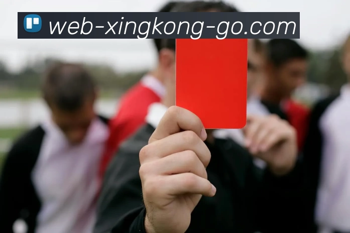 星空体育入口平台生态图