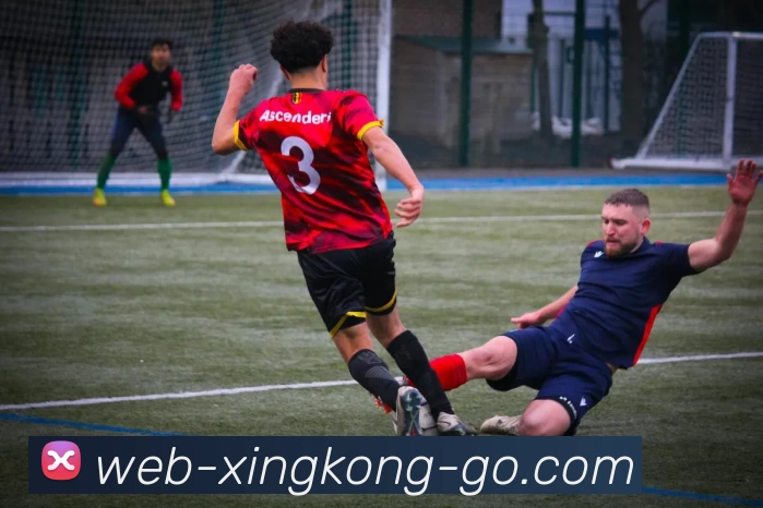 星空体育入口服务体系