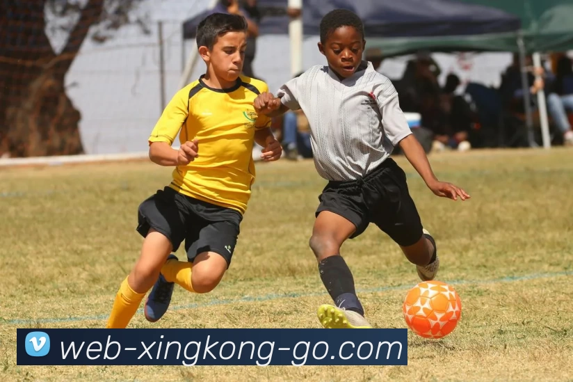 星空体育入口全站App